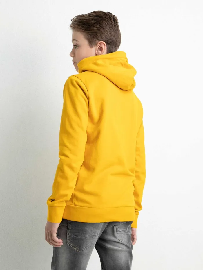 Boys Knits and Sweats Petrol Industries Hoodie With Logo Artwork Fresh Mango