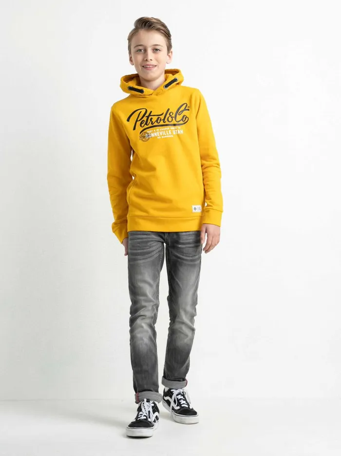 Boys Knits and Sweats Petrol Industries Hoodie With Logo Artwork Fresh Mango