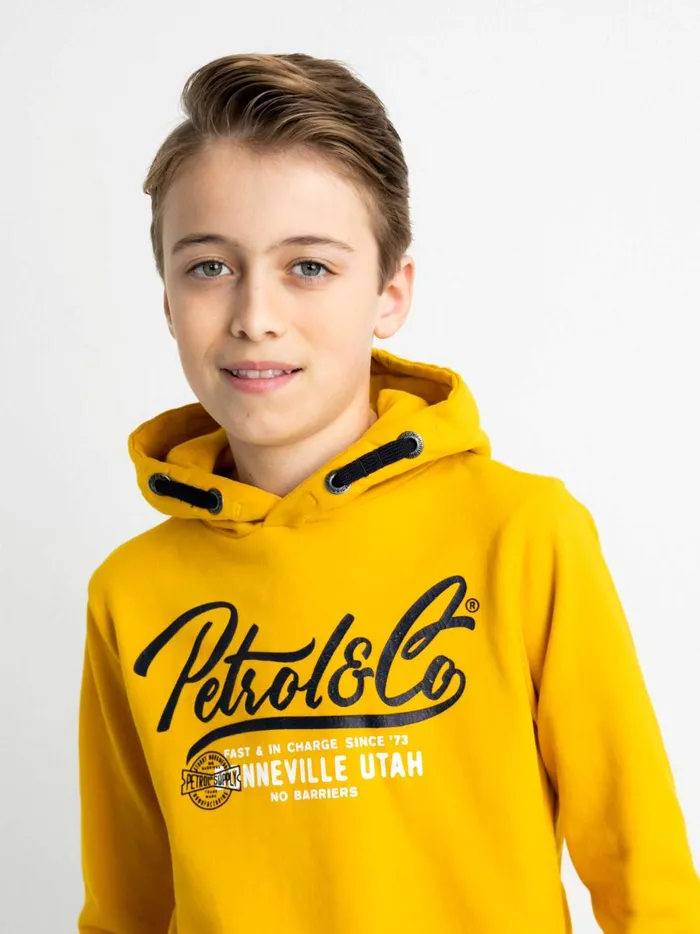 Boys Knits and Sweats Petrol Industries Hoodie With Logo Artwork Fresh Mango