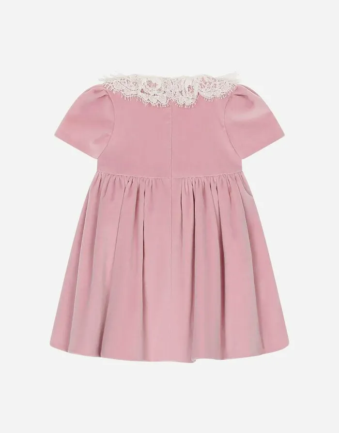 Dolce and Gabbana Dresses Children Shortsleeved Velvet Dress With Lace Collar Multicolor Dolce and Gabbana Dresses Children Shortsleeved Velvet Dress With Lace Collar Multicolor