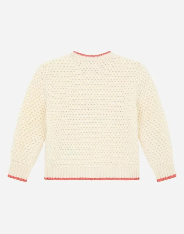 Dolce and Gabbana Topwear Children Roundneck Sweater With DG Logo Patch Multicolor Dolce and Gabbana Topwear Children Roundneck Sweater With DG Logo Patch Multicolor