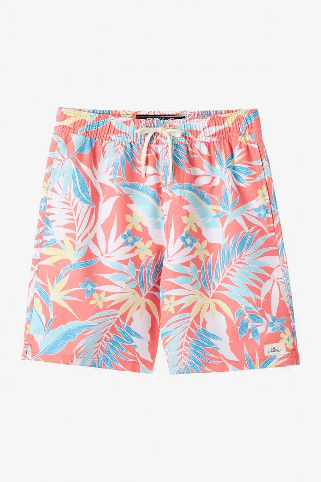 HERMOSA CREW 16034 SHORTS Kids O039NEILL Boy039S Clothing