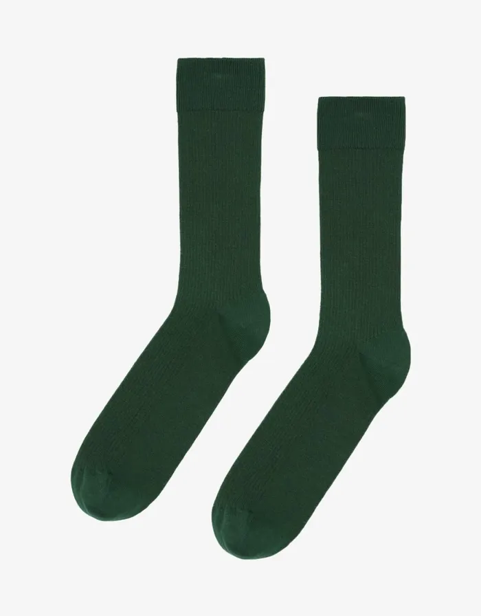 Men Socks and Colorful Standard Classic Organic Sock Emerald Green