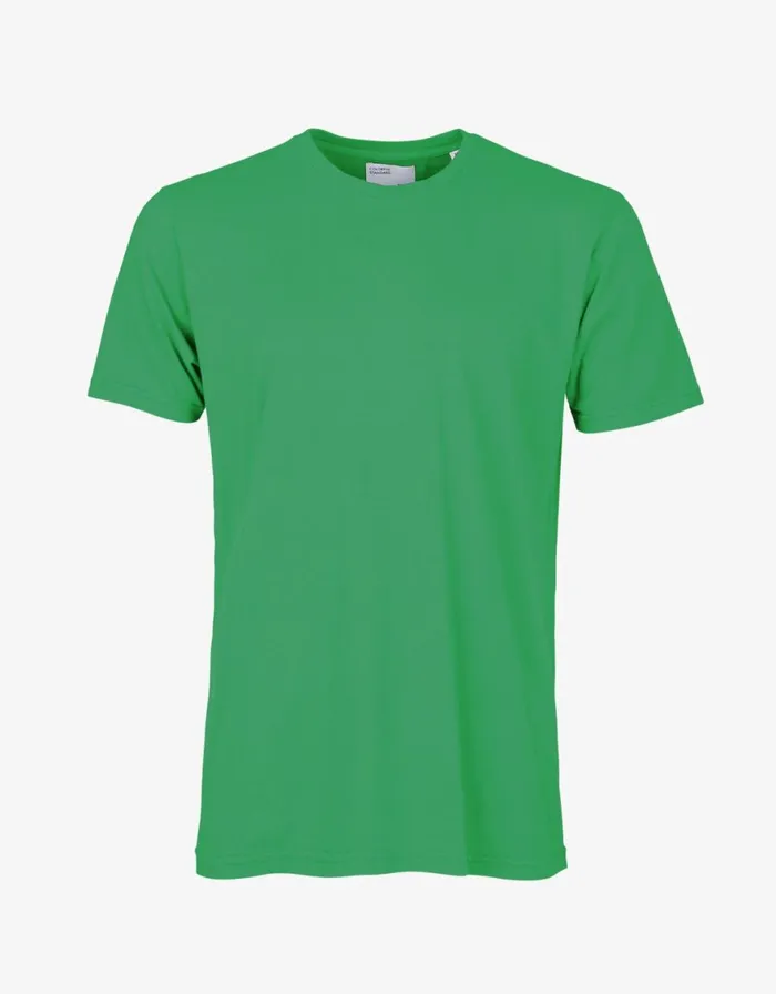 Men TShirts Colorful Standard Classic Organic Tee Kelly Green