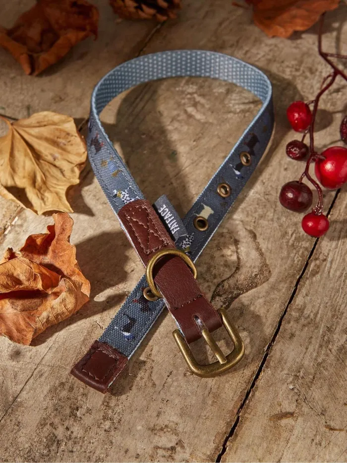 Pet Accessories Fat Face Grey Dogs Small Collar