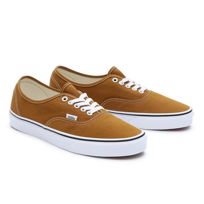 Vans Classics Men Color Theory Authentic Shoes Brown