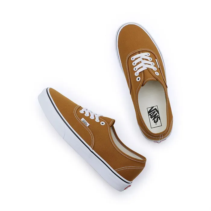 Vans Classics Men Color Theory Authentic Shoes Brown