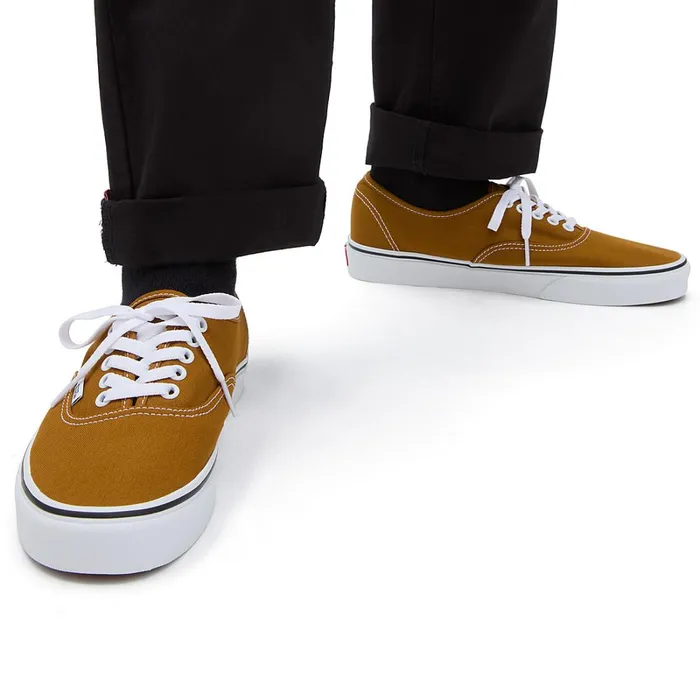 Vans Classics Men Color Theory Authentic Shoes Brown
