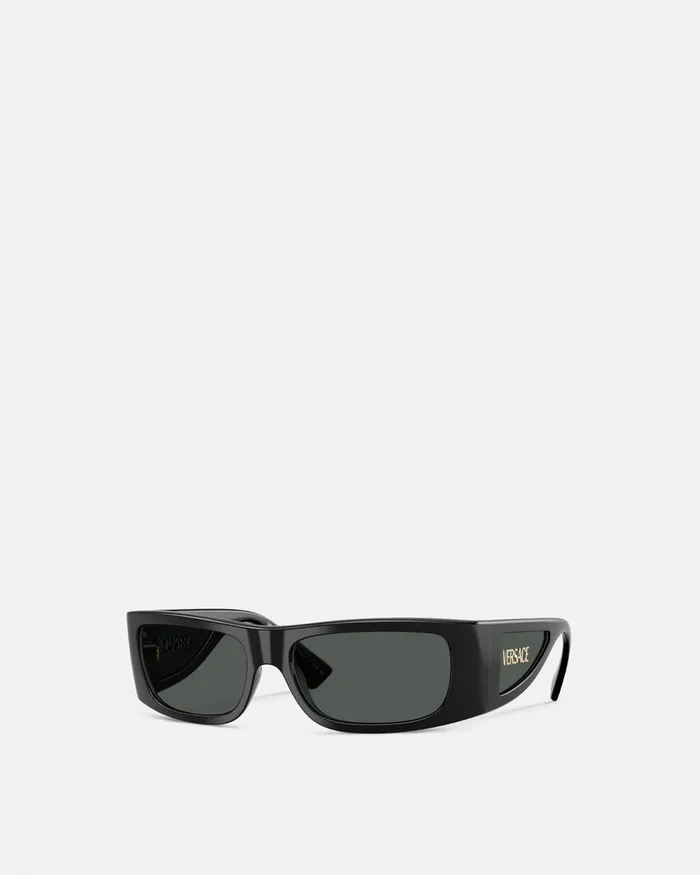 Versace Lens Logo Sunglasses Black Men Sunglasses
