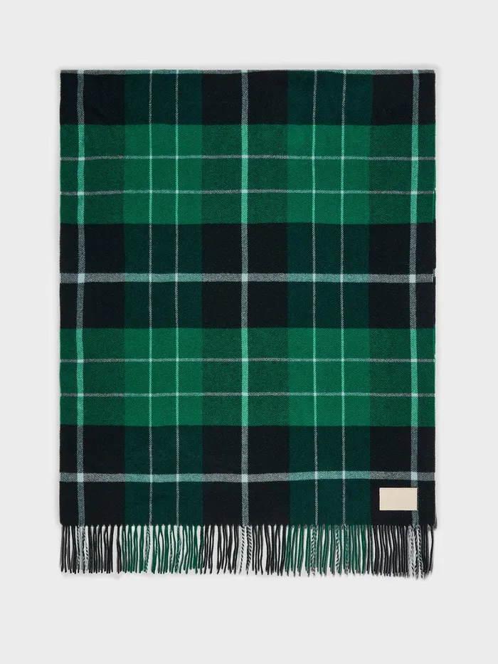 Women Aeyde BENN Moss Wool Scarf Aeyde Scarves
