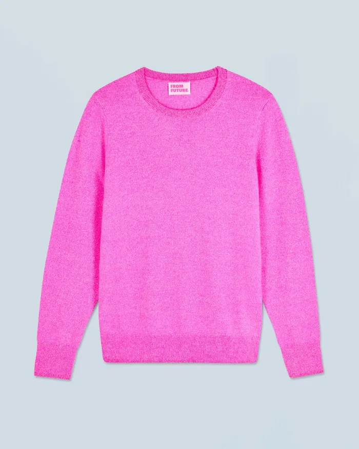 Women Cashmere Sweaters From Future Basic Crewneck Sweater Pink
