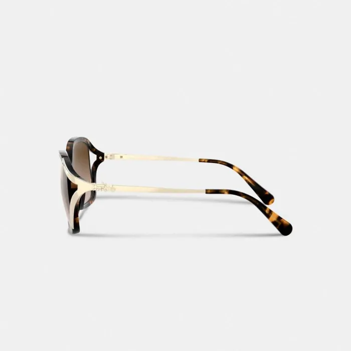 Women Eyewear Coach Oversized Horse And Carriage Sunglasses Dark Tortoise