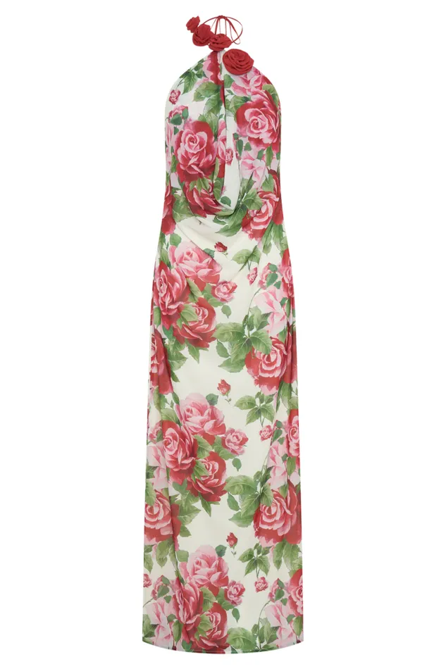 Women Meshki Dresses Rosalia Cowl Neck Maxi Dress 8211 Sonia Rose Print